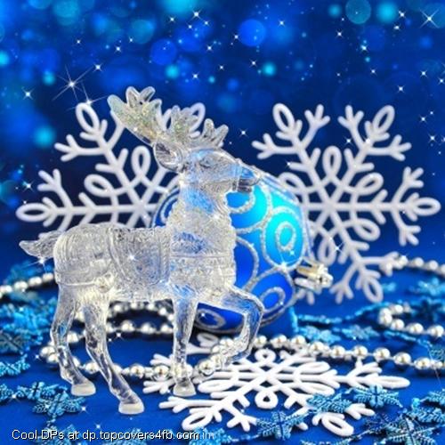 Christmas-Glass-Deer-Ornaments-Display-Picture