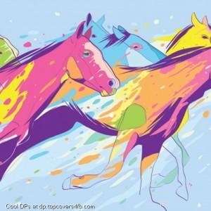 Color-Horse-Riding-Display-Picture