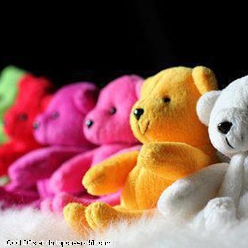 Colorful-Teddy-Display-Picture