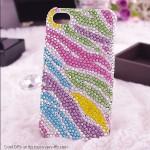 Colorful-Zebra-Stripe-Display-Picture