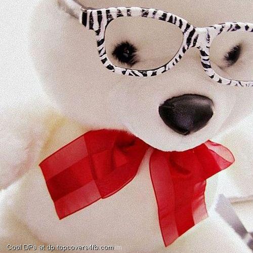 Glasses-Teddy-Display-Picture