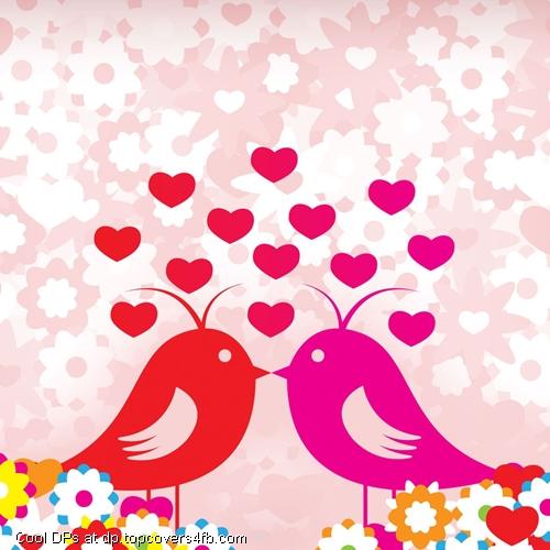 Love-Birds-Display-Picture