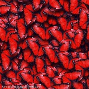Red-Butterflies-Heart-Display-Picture
