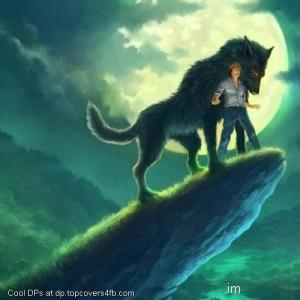 Rock-On-Wolf-And-Boy-Display-Picture