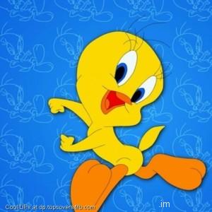 Tweety-Cute-Display-Picture