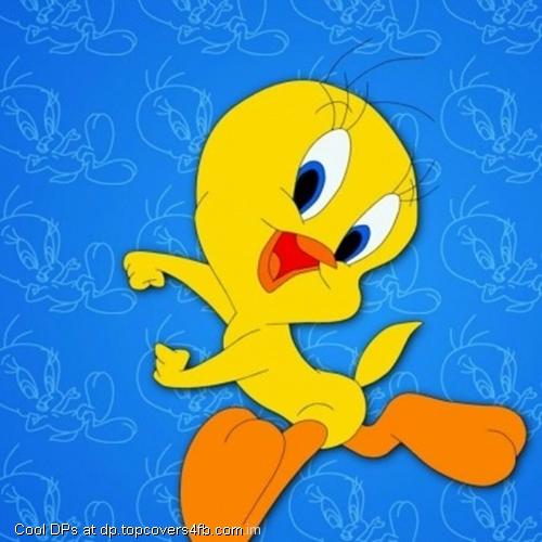 Tweety-Cute-Display-Picture