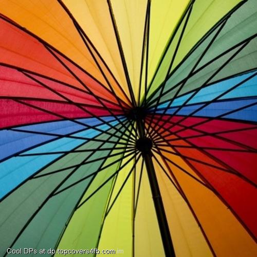 Umbrella-Colors-Display-Picture