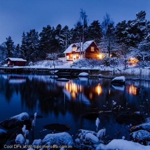 Winter-Evening-Forest-Night-Display-Picture