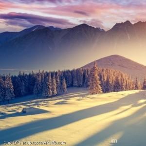 Winter-Freshness-Landscapes-Display-Picture