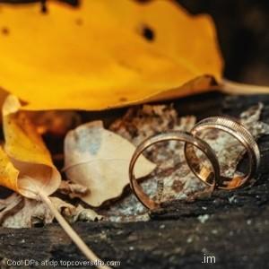 Yellow-Fall-Wedding-Ring-Display-Picture