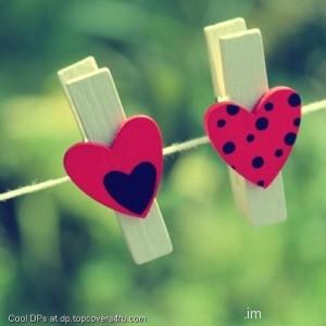 Clothespins-Hearts-Display-Picture