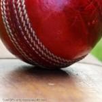 Cricket-Bat-And-Ball-Display-Picture
