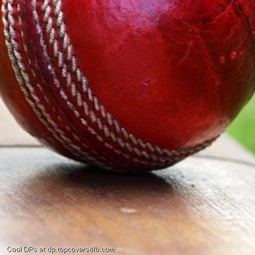 Cricket-Bat-And-Ball-Display-Picture