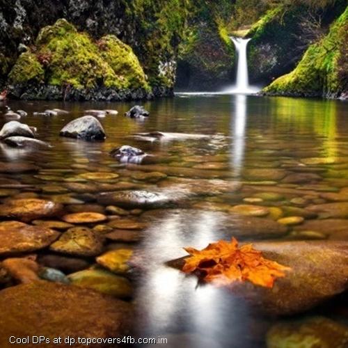 Forest-Waterfall-Lake-Stones-Autumn-Display-Picture