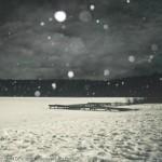 Lonely-Winter-Display-Picture