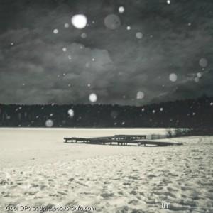 Lonely-Winter-Display-Picture