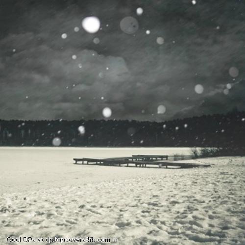 Lonely-Winter-Display-Picture