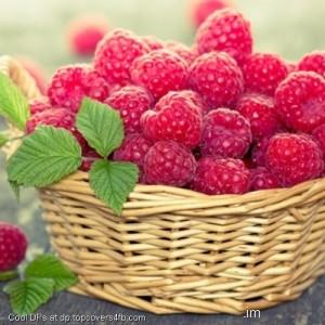 Malinka-Basket-Display-Picture