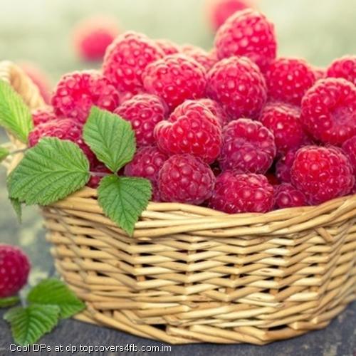 Malinka-Basket-Display-Picture