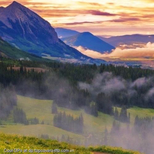 Mountains-Forest-Valley-Dawn-Fog-Display-Picture