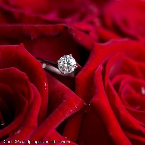 Red-Roses-In-Diamond-Ring-Display-Picture