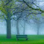 Spring-Park-Fog-And-Bench-Display-Picture